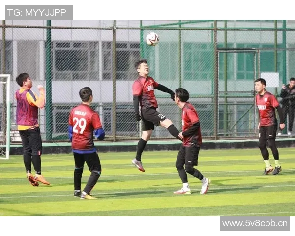 杭州羽毛球队整体压制革新之路探索与实践分析 杭州羽毛球队整体压制革新之路探索与实践分析