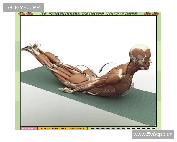 不同泳姿的技巧解析及其对身体各部位的锻炼效果全面分析