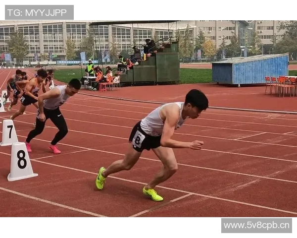 全方位解析体育运动对身体健康、心理素质及团队协作能力的深远影响